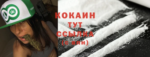 спайс Гусь-Хрустальный