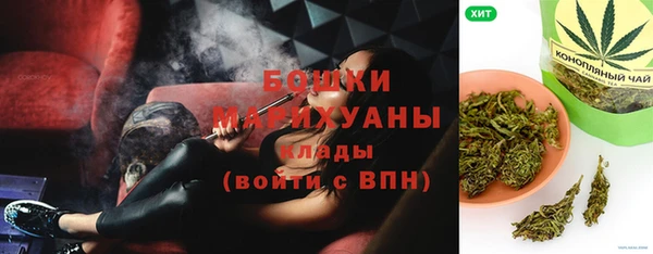 таблы Гусев