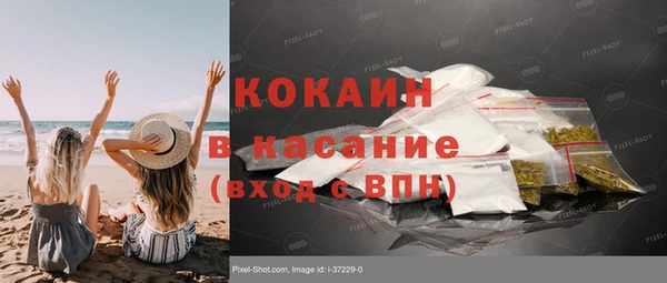 таблы Гусев