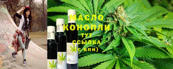 таблы Гусев