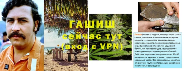 таблы Гусев