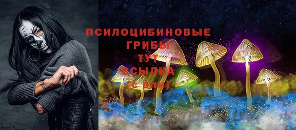 a pvp Дмитровск