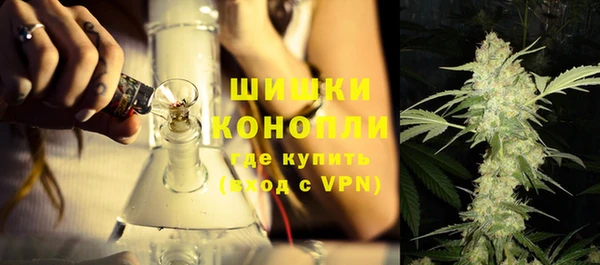 спайс Гусь-Хрустальный